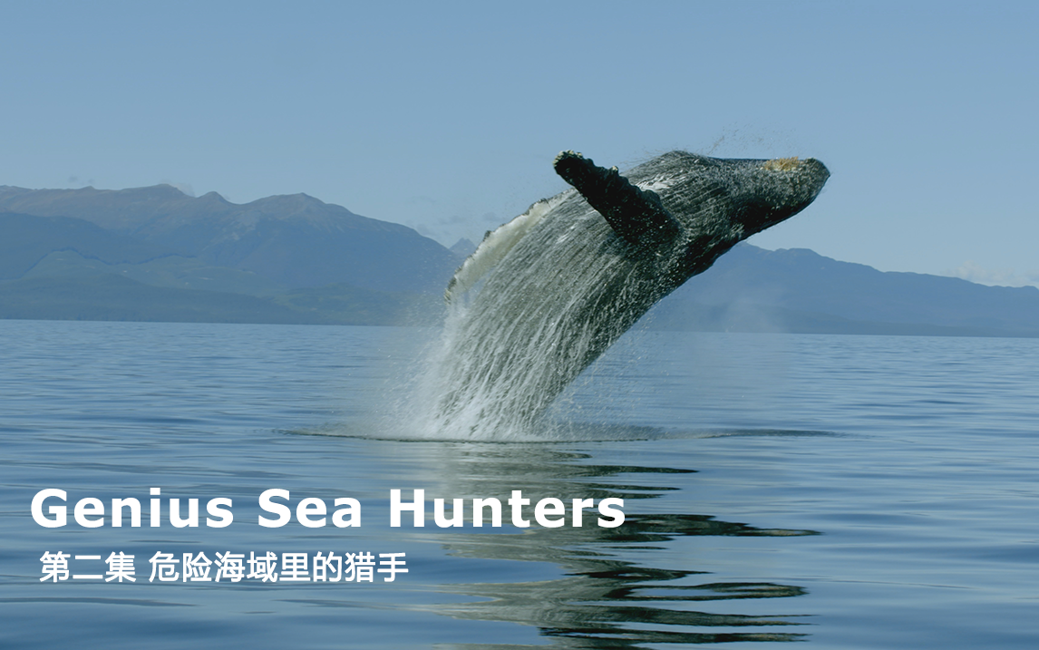 危险海域里的猎手