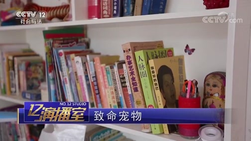 热线12 《热线12》 20181125 致命宠物