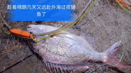 南澳岛赶海日记 彪哥再次外海捕鱼，等到天黑了才收网，因为夜里的大货比较多