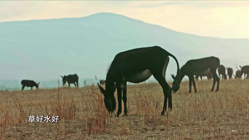 《新疆味道第三季》第1集