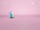 小小智慧树 《小小智慧树》 20170515