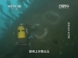 自然传奇 《自然传奇》 20141020 鲨鱼的未知世界