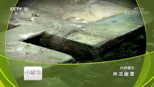 地理中国 《地理中国》 20190214 神龙幽潭