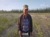 中华民族 《中华民族》 20180604 和之田（上）