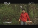 生财有道 《生财有道》 20141229 森林小精灵带来大财富