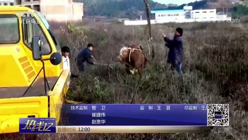热线12 《热线12》 20190122