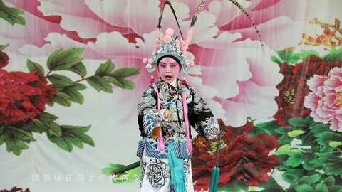 第八届&ldquo;和平杯&rdquo;京剧小票友邀请赛 决赛第三场