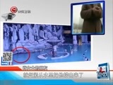 新闻延长线 《新闻延长线》 20170106