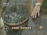 致富经 《致富经》 20151014 总能超前一步的养鱼高手