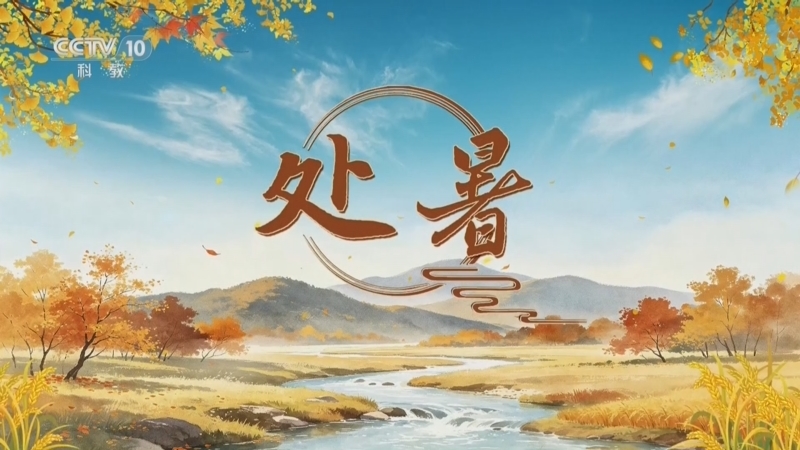 百家讲坛 《百家讲坛》 20260823 光阴里的节气·处暑