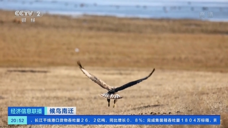 经济信息联播 《经济信息联播》 20221029