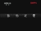 动物世界 《动物世界》 20120219