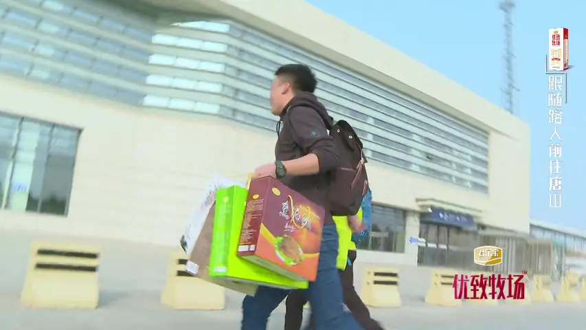 《你要去哪儿》第11期