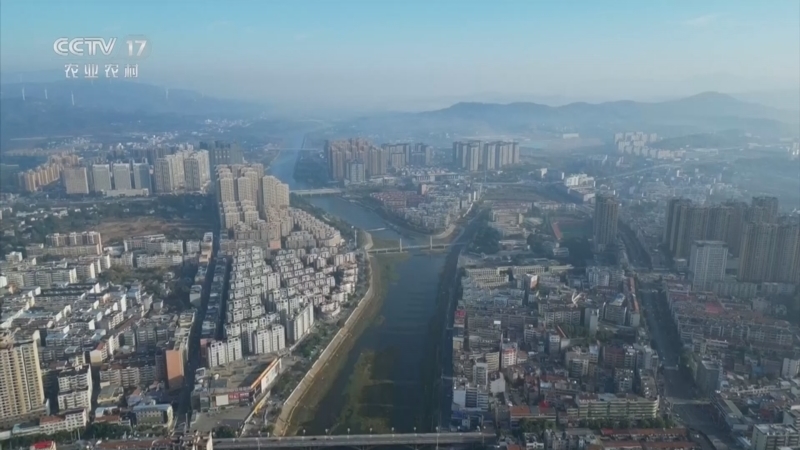 《三农群英汇》 20251226 国潮新势力——非遗“绣”出圈