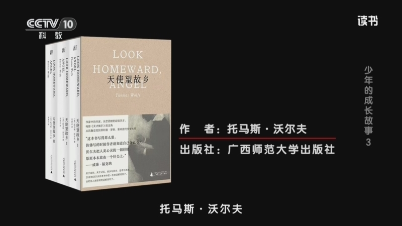读书 《读书》 20260820 托马斯·沃尔夫 《天使望故乡》 少年的成长故事 3