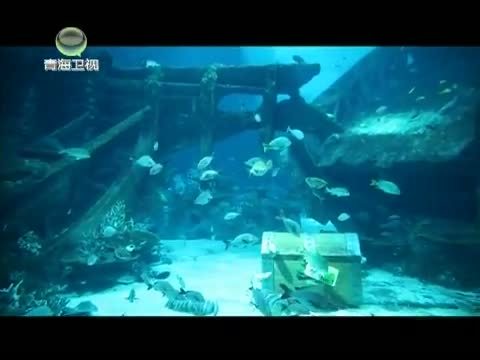 时尚旅游 《时尚旅游》 20141230 新加坡——浸在狮城醉氧时光