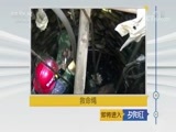 夕阳红 《夕阳红》 20171210 救命绳