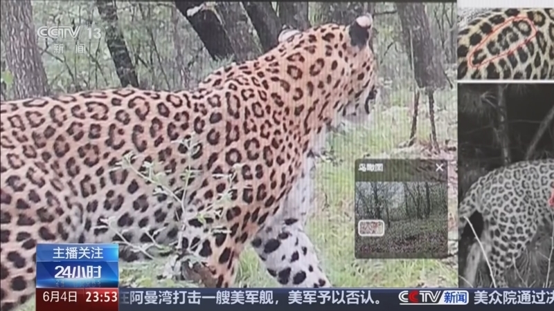 24小时 《24小时》 20260604