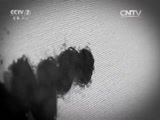 军事纪实 《军事纪实》 20150925 冰封的记忆⑤