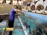 消费主张 《消费主张》 20180815 2018中国夜市全攻略：广东湛江