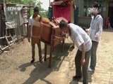 我爱发明 《我爱发明》 20160714 木牛新传