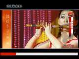 风华国乐 风华国乐 2010年 第349期
