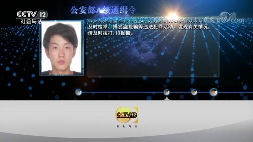 天网 《天网》 20190722 年关将至