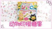 爱茉莉兒の食玩世界 动物印模糖果 39
