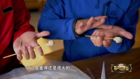 百心百匠 绢人甄姬成中国版芭比