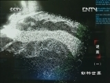 动物世界 《动物世界》 20120921