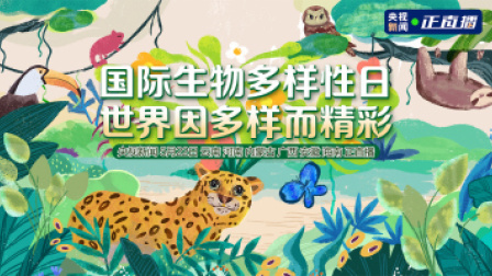 国际生物多样性日 世界因多样而精彩