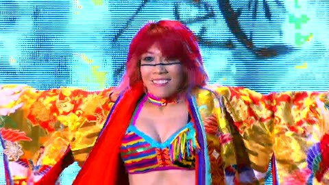 wwe美国职业摔角 捍卫者正式重组！正版三重炸弹摔复仇米兹