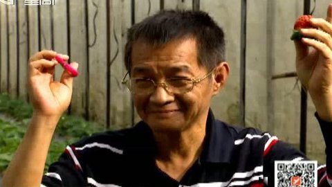 乐活好正点 高山上的咖啡香