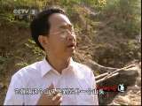 生财有道 [生财有道]880元一只会飞的富硒鸡(20110616)