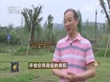 致富经 《致富经》 20150820 不怕它死背后的商机