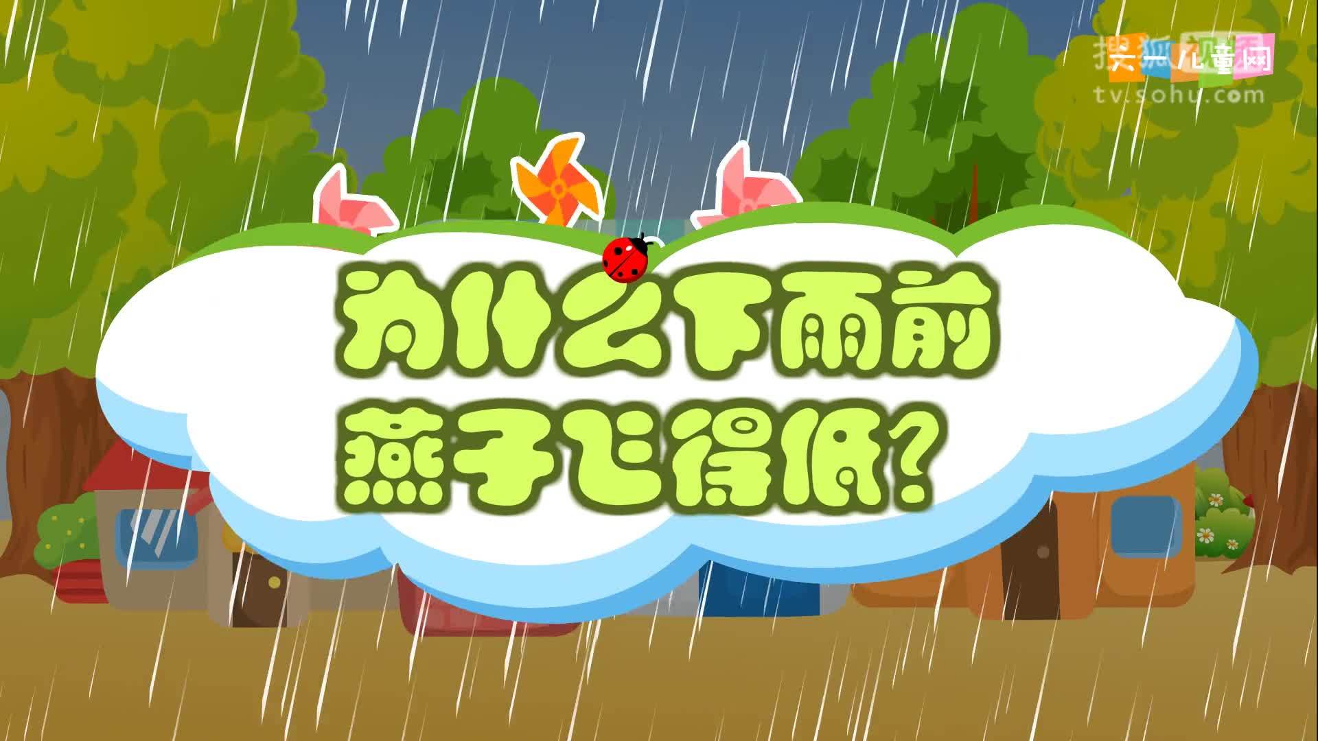 嘟拉十万个为什么 嘟拉十万个为什么 221.为什么下雨前燕子飞得低？