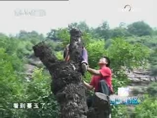 动感特区 动感特区 2008年 第33期