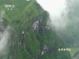 中华民族 《中华民族》 20170410 喀斯特神话 第二集 茶人生