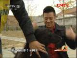生财有道 《生财有道》 20111117 我的猎犬情缘