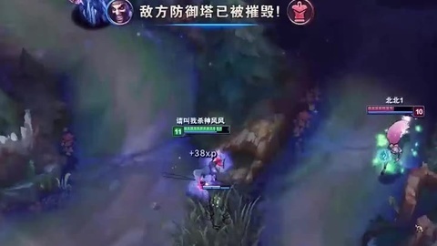 若风 【若风解说】版本最强势打野豹女！一标一命