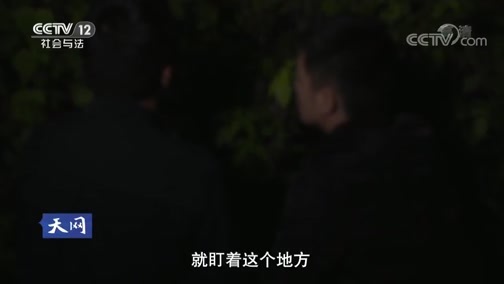 天网 《天网》 20181128 深山来客