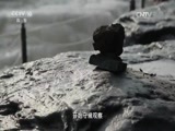 地理中国 《地理中国》 20170109 冬日奇景·冰临壶口