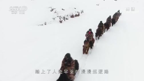 军事纪实 《军事纪实》 20190219 边关团圆夜
