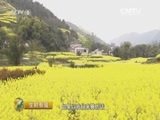 生财有道 《生财有道》 20160623 来自扶贫一线的报道——走进四川兴文
