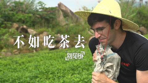 歪果仁研究协会 茶园里有个外国老哥在采茶！