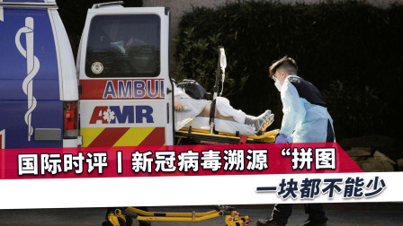 新冠溯源发现大量线索，世卫多次明确表态，大“拼图”一块不能少
