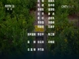 环球经济连线 《环球财经连线》 20161022