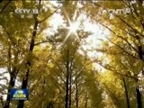 新闻联播 《新闻联播》 20150518 19:00