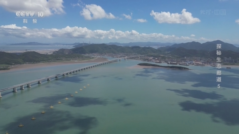 《地理·中国》 20260522 探秘生态廊道5