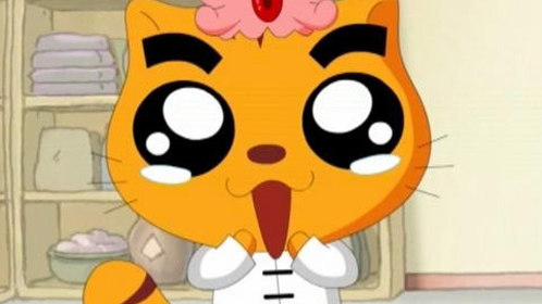 吉祥猫可可